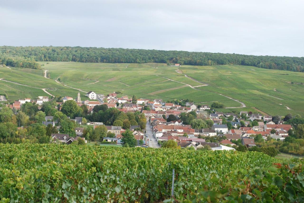 Le Clos Moussy Moussy  Extérieur photo